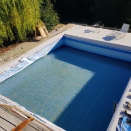 Accessoires et Produits d'Entretien : Maintenez votre Piscine dans un État Impeccable Les Abymes